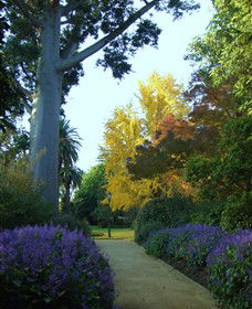Albury Botanic Garden - Kalgoorlie Accommodation 0