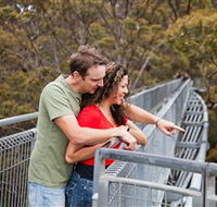 Valley of the Giants Tree Top Walk - Kalgoorlie Accommodation