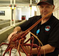 Lobster Shack - Kalgoorlie Accommodation