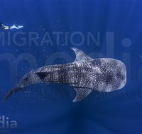 Migration Media - Kalgoorlie Accommodation