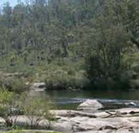 Wellington Discovery Forest - Kalgoorlie Accommodation