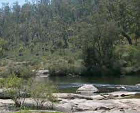 Wellington Discovery Forest - Kalgoorlie Accommodation 0