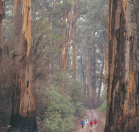 Beedelup National Park