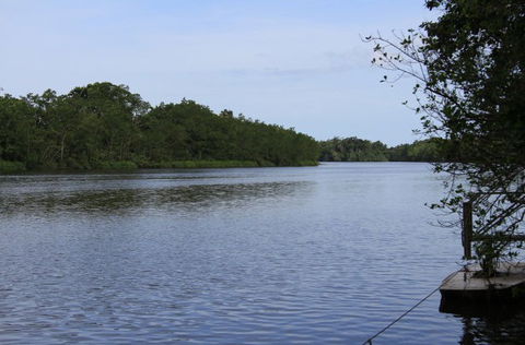 Daintree River Cruise Centre - Kalgoorlie Accommodation 2