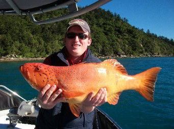 Gone Fishing By Coral Sea Fishing Charters Airlie Beach - Kalgoorlie Accommodation 0
