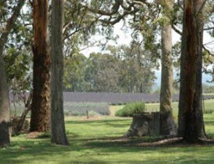 Amosfield QLD Kalgoorlie Accommodation