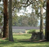 Aloomba Lavender - Kalgoorlie Accommodation