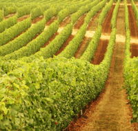 Wignalls Winery - Kalgoorlie Accommodation