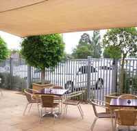 Coach  Horses - Kalgoorlie Accommodation