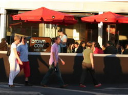Brown Cow - Kalgoorlie Accommodation 1