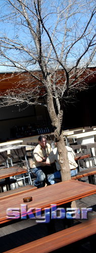Alma Tavern - Kalgoorlie Accommodation 2