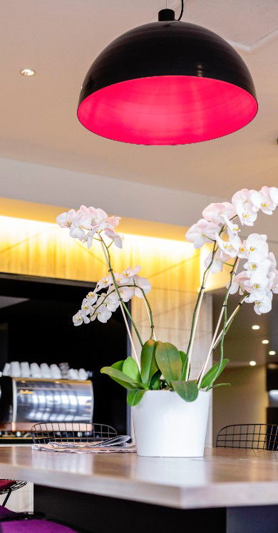 MRepublic Restaurant, Bar And Lounge - Kalgoorlie Accommodation 4