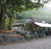 Ellis Beach Bar  Grill - Kalgoorlie Accommodation