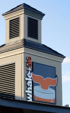 The Whale & Ale - Kalgoorlie Accommodation 1