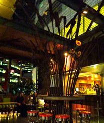 Treehouse Hotel - Kalgoorlie Accommodation 2