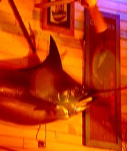 Joes Fish Shack - Kalgoorlie Accommodation 3