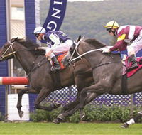 Gosford Race Club - Kalgoorlie Accommodation