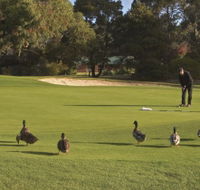 Royal Hobart Golf Club - Kalgoorlie Accommodation