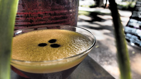 Viva La Vida Wine & Tapas Bar - Kalgoorlie Accommodation 2