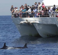MoonshadowTQC Cruises - Kalgoorlie Accommodation