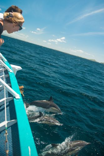 Moonshadow–TQC Cruises - Kalgoorlie Accommodation 3