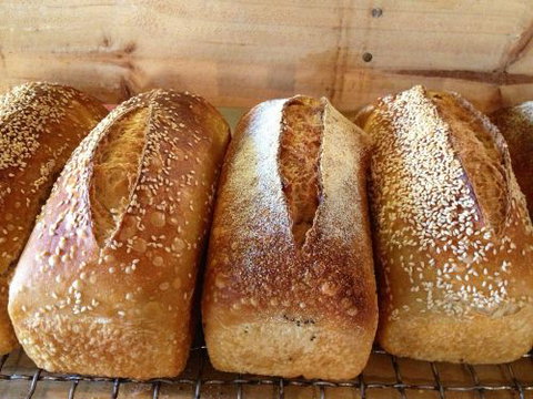 Blackbird Artisan Bakery - Kalgoorlie Accommodation 0