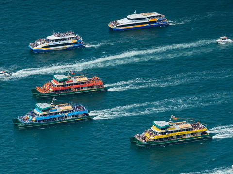 Australia Day Sydney Harbour Cruises - Kalgoorlie Accommodation 1