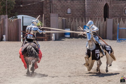 Baroque Horse Festival - Kalgoorlie Accommodation 2