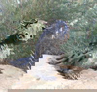 Bathurst Arts Trail - Kalgoorlie Accommodation