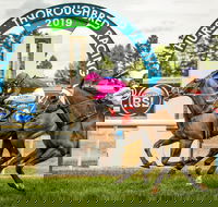 Bathurst Cup - Kalgoorlie Accommodation