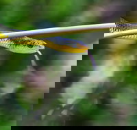 Be Welcomed by Wildlife at the Australian Wildlife Sanctuary - Kalgoorlie Accommodation