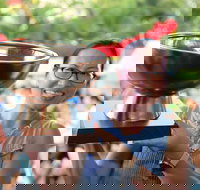 Darwin International Laksa Festival - Kalgoorlie Accommodation