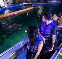 Glass Bottom Boat Tour - Kalgoorlie Accommodation