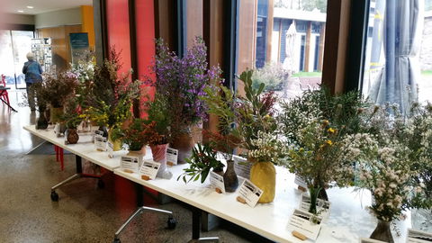 Grampians Wildflower Show - Kalgoorlie Accommodation 0