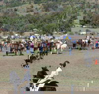 Gresford Agricultural Show - Kalgoorlie Accommodation