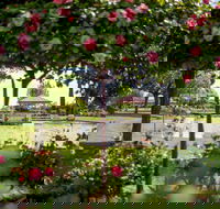 Griffith Spring Fest - Kalgoorlie Accommodation