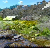 Hedonistic Hiking's Falls Creek to Hotham