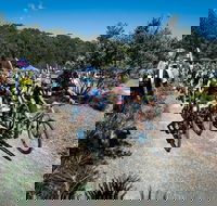 JetBlack Wild Wombat MTB Challenge - Kalgoorlie Accommodation