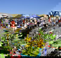 Maclean Community Monthly Markets - Kalgoorlie Accommodation