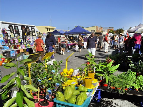 Maclean Community Monthly Markets - Kalgoorlie Accommodation 0