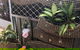 Nightcliff Markets - thumb 2