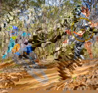 NSW State Downhill Mountain Bike Championships - Kalgoorlie Accommodation