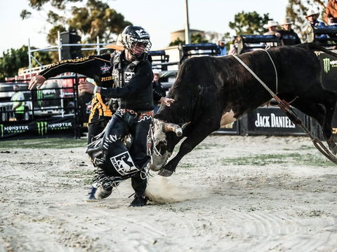 PBR Hawkesbury Stampede - Kalgoorlie Accommodation 2