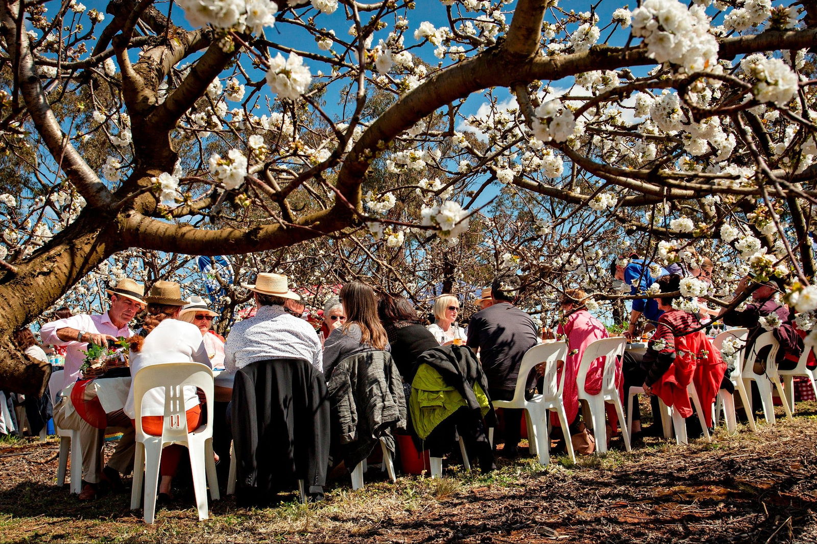 Monteagle NSW Kalgoorlie Accommodation