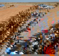 28th Marree Australasian CAMEL CUP 3 July 2021 - Kalgoorlie Accommodation