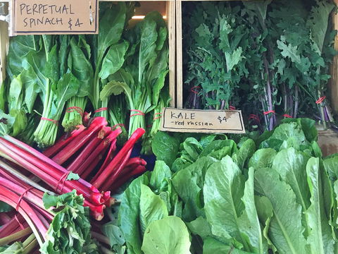 Albury Wodonga Farmers Market - Kalgoorlie Accommodation 0