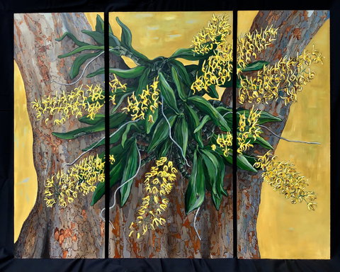 A Still Life - Solo Exhibition  Karen Sedaitis - Kalgoorlie Accommodation 1