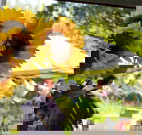 Blackville Arts and Market Day - Kalgoorlie Accommodation