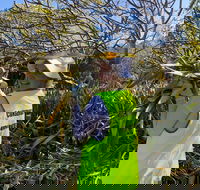 Conservation Volunteers Australia Townsville - Beach Scrub Conservation - Kalgoorlie Accommodation