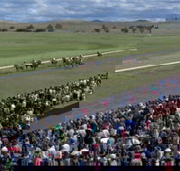 Cooma Sundowners Cup - Kalgoorlie Accommodation